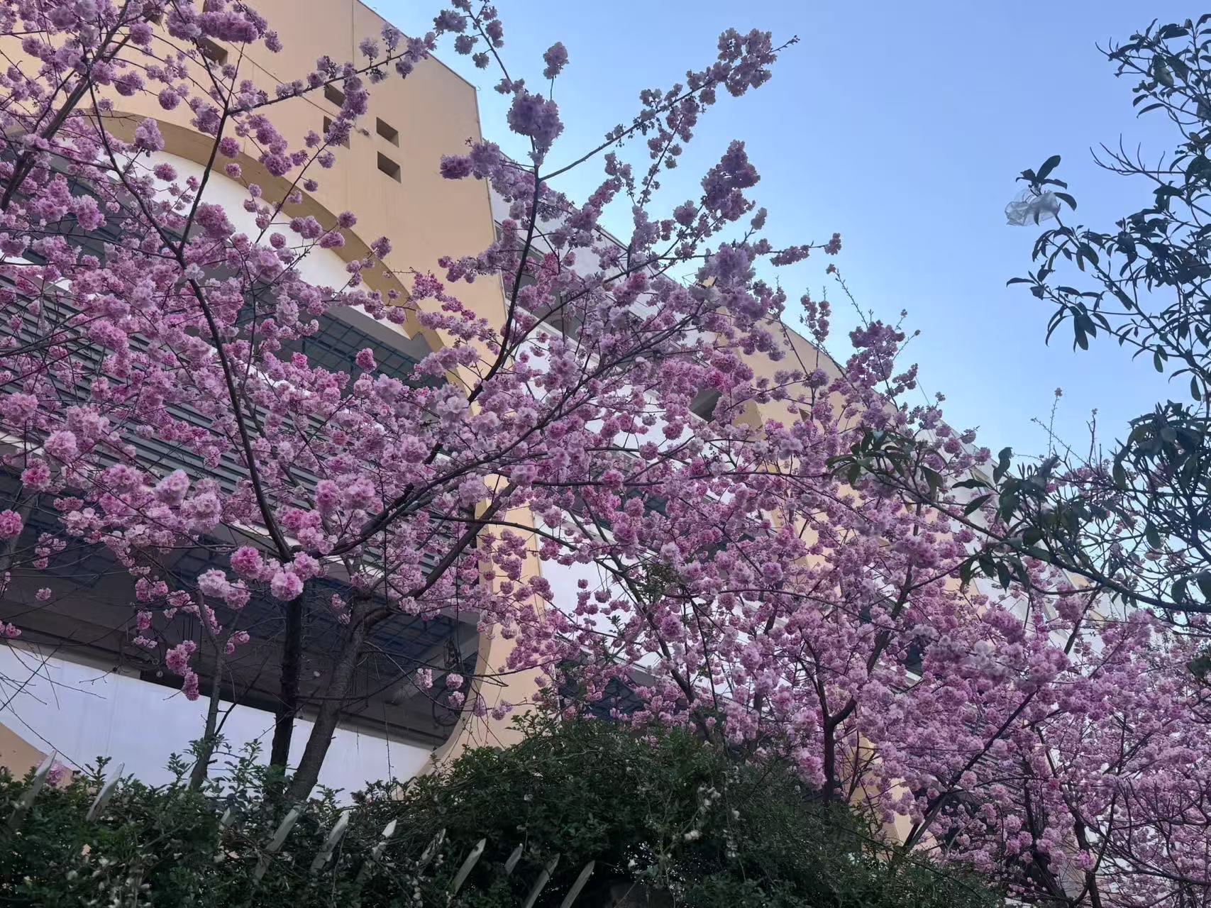 微信图片_20250401085754.jpg